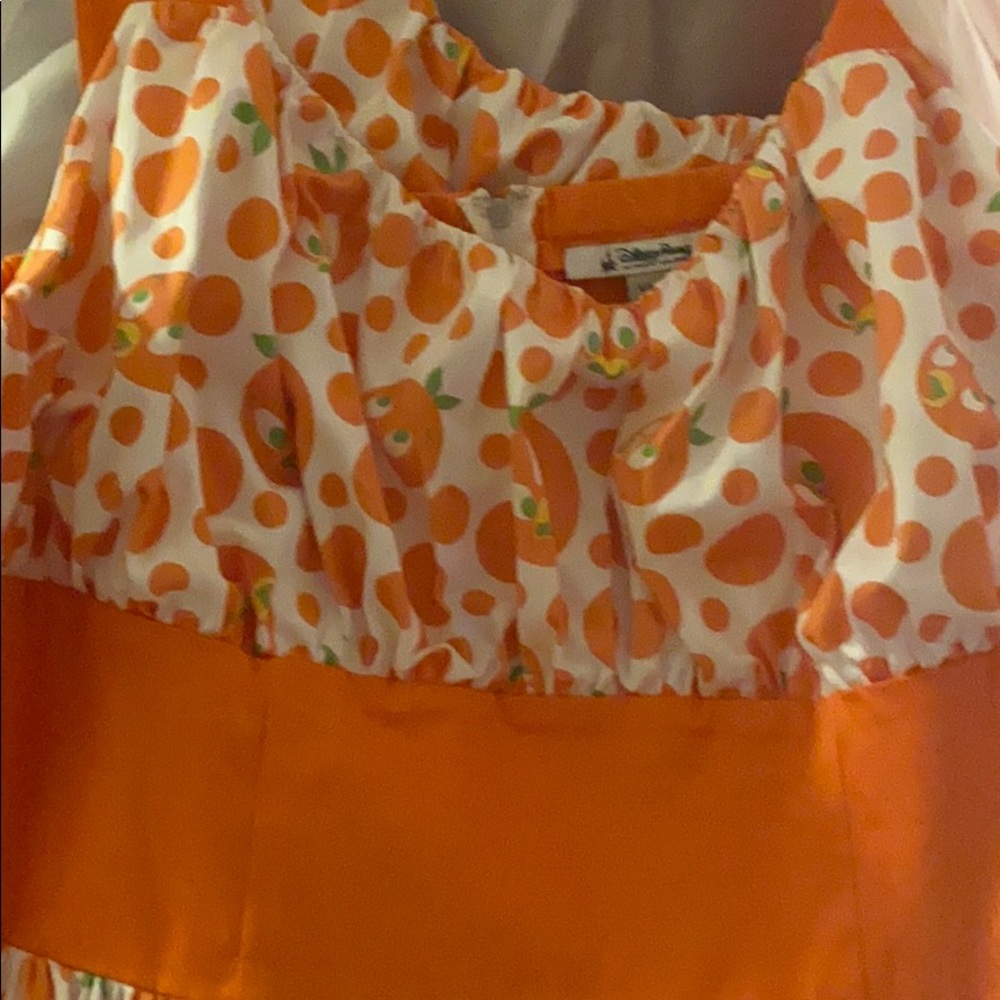 Orange Bird Disney Parks dress 2X